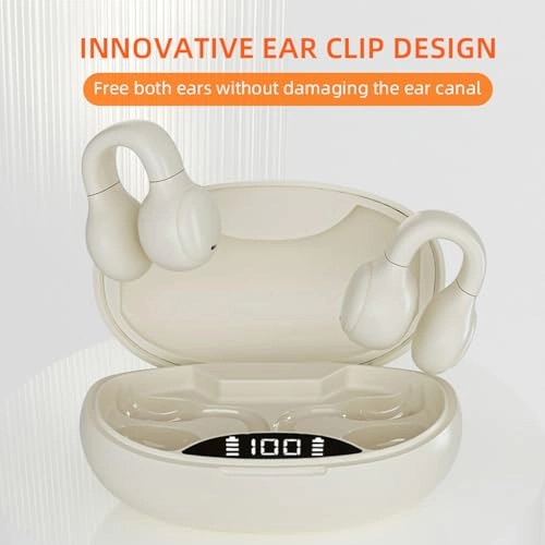 HE2BUDS36 Wireless Earbud