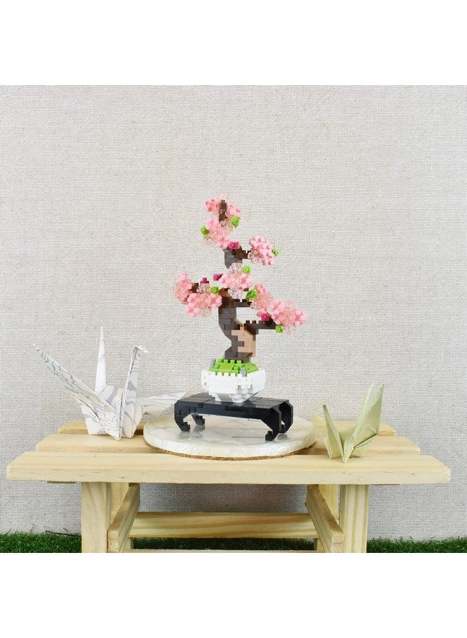 Bonsai Sakura - Culture