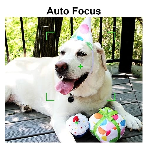 1005004481171508 Kit