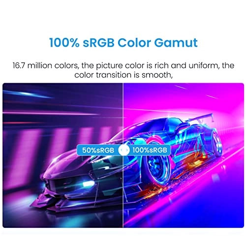 Portable Monitor - 1920x1080 16.1 Inches