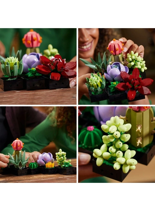 Succulents (10309) - Flowers