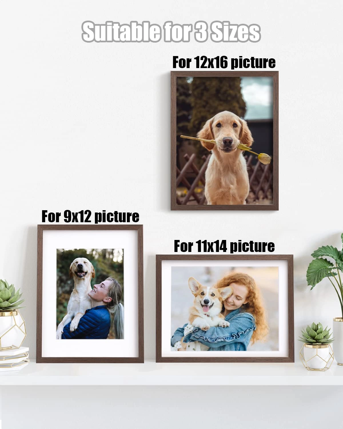 picture frames - 12x16