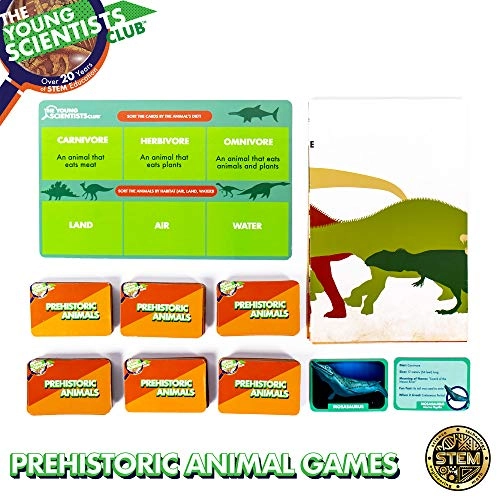 Prehistoric Animal Card Games Paleontology - 5 years+ 80 pieces