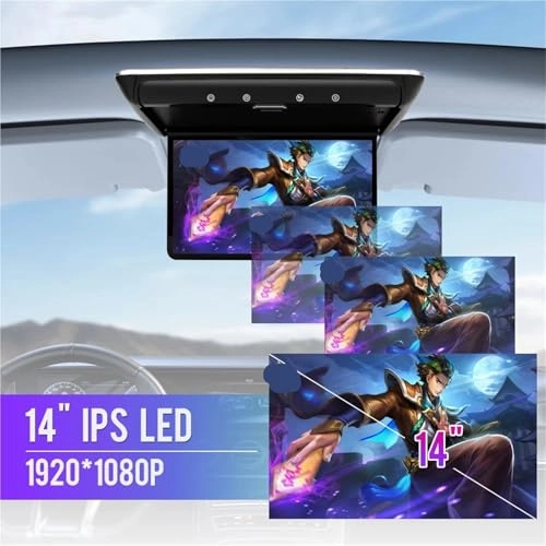Car Roof Monitor - 14 Inch