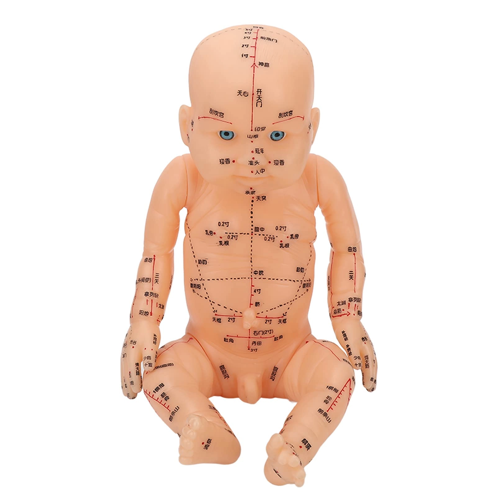 Acupoint children model