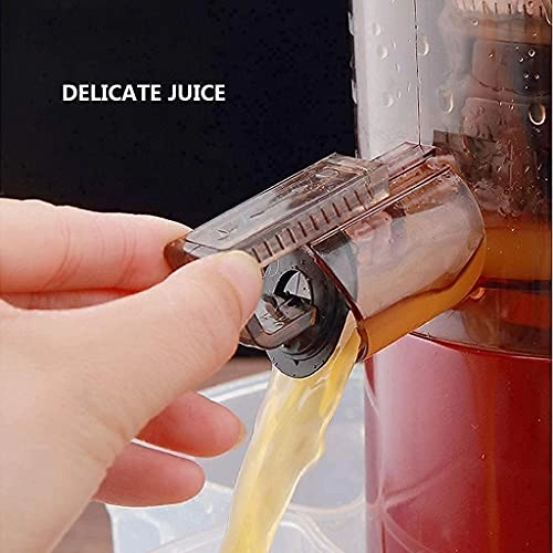 Masticating Juicer - 150 Watts 1500 Milliliters
