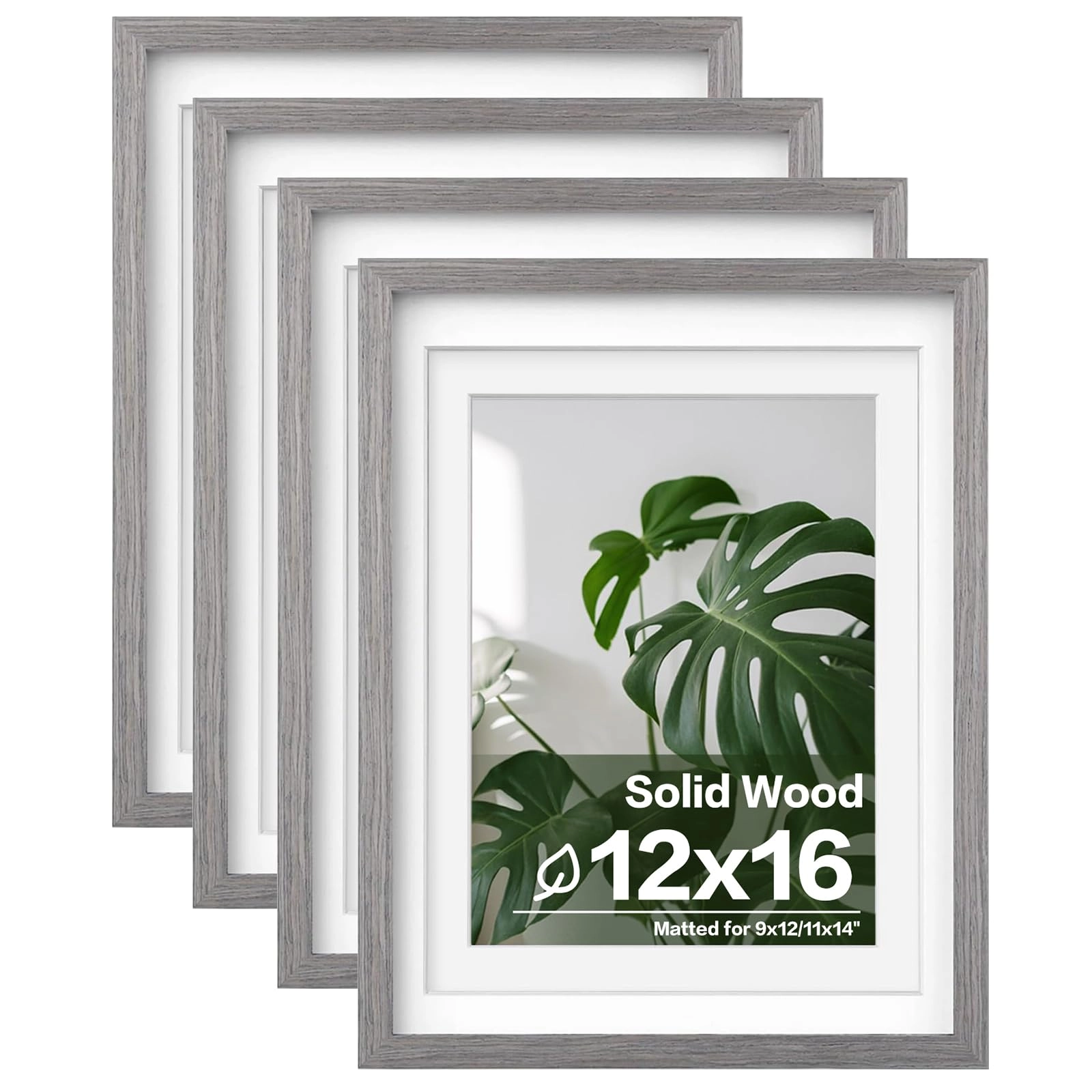 picture frames - 12x16