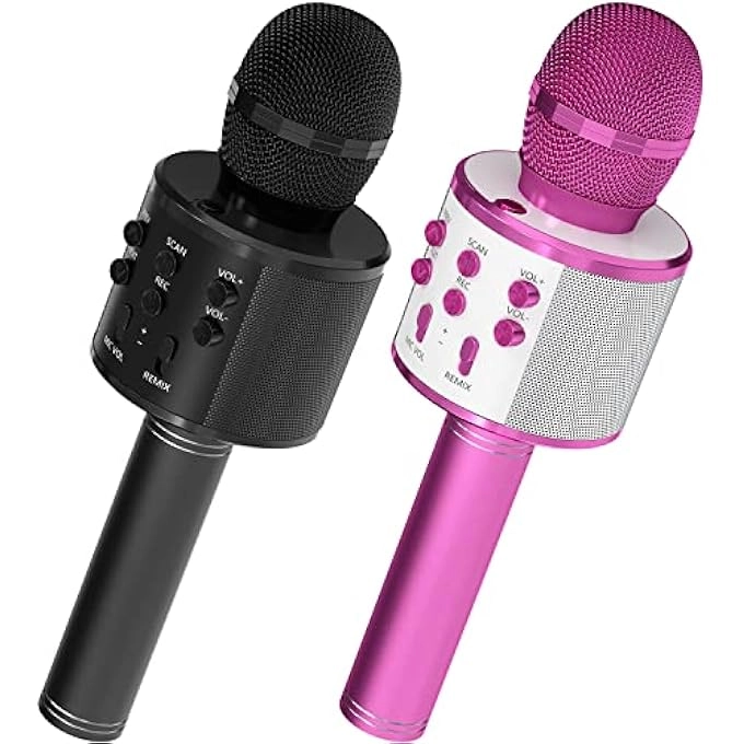 rayihni Karaoke Microphone Pack