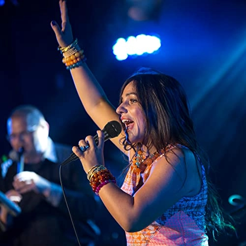 MWH78 XLR Microphone