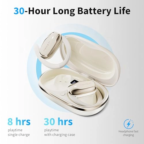 W65 Wireless Headphone