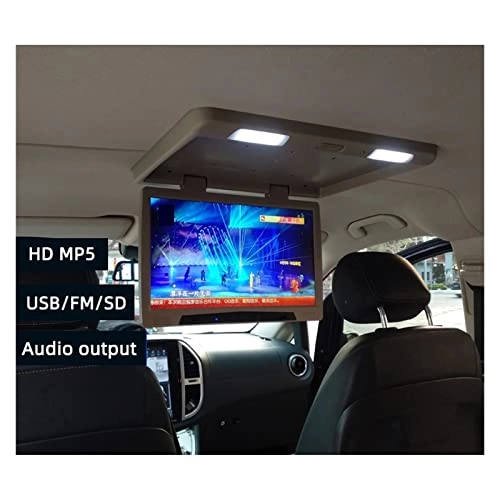 Car Ceiling Display - 19 Inch