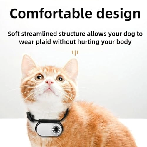 Catcam Pro