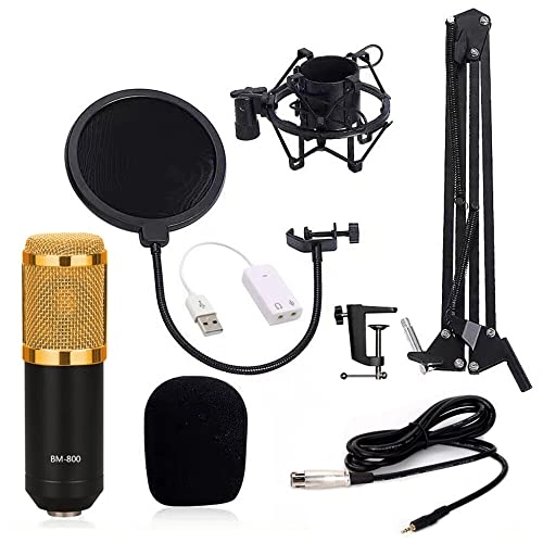 SK-30 USB Microphone