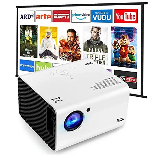 V509 300 ANSI Lumens