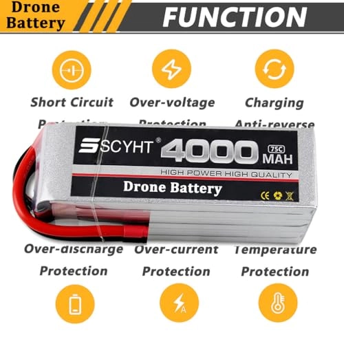 Lipo Battery - 4000mAh