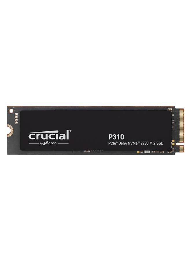 P310 - 2TB M.2
