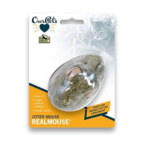 Jitter Mouse - All Life Stages