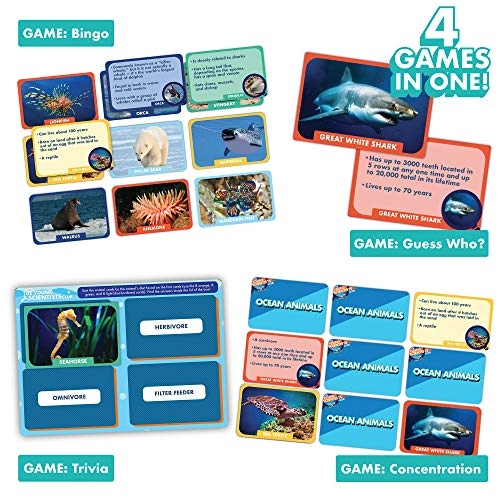 Ocean Animals Card Games - 5 years and up
