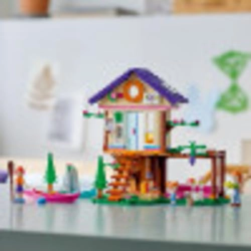 Friends Forest House (41679)