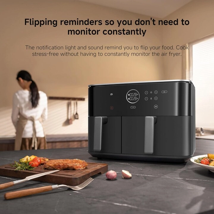 Dual Zone Air Fryer