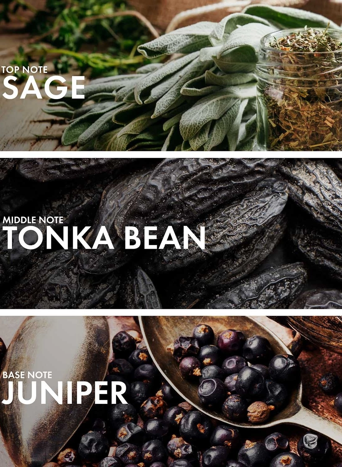 Oud Leather - Eau de Parfum 50ml