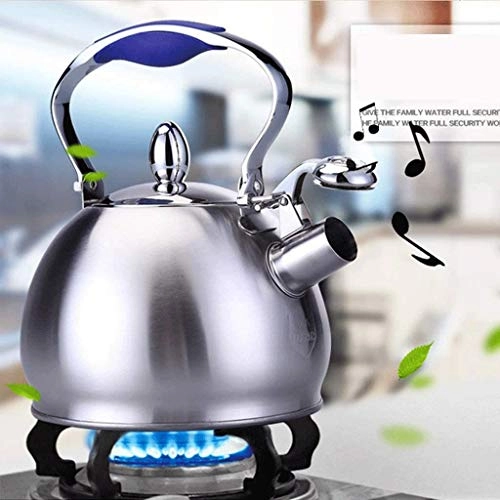 Stainless Steel Kettle - 2.5L