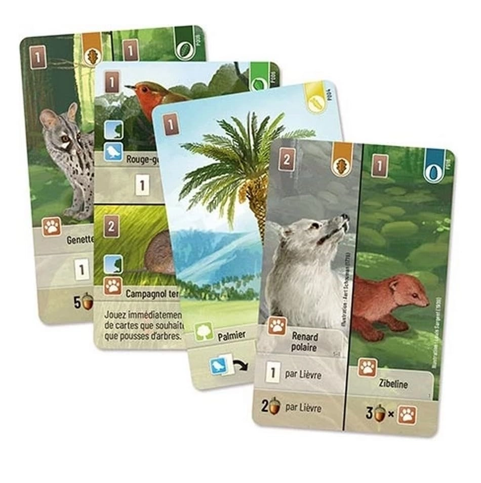 Mixed Forest + Exploration + Forest Edge + Bottle Opener - 10+ years