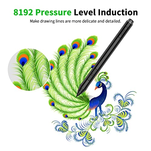 A50 - 10x6 Inches 8192 Levels