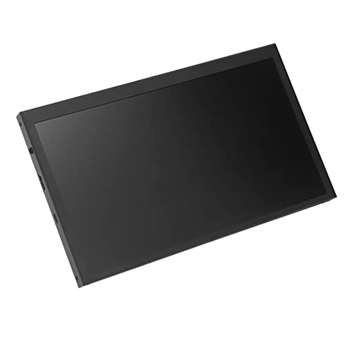 Portable Monitor - 1024 x 600 10.1in