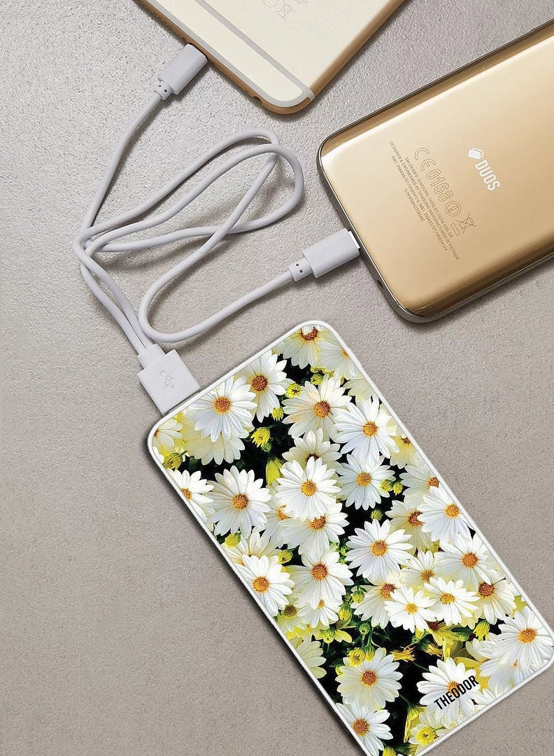 PPBA675 - 10000 Watt-hour 18W