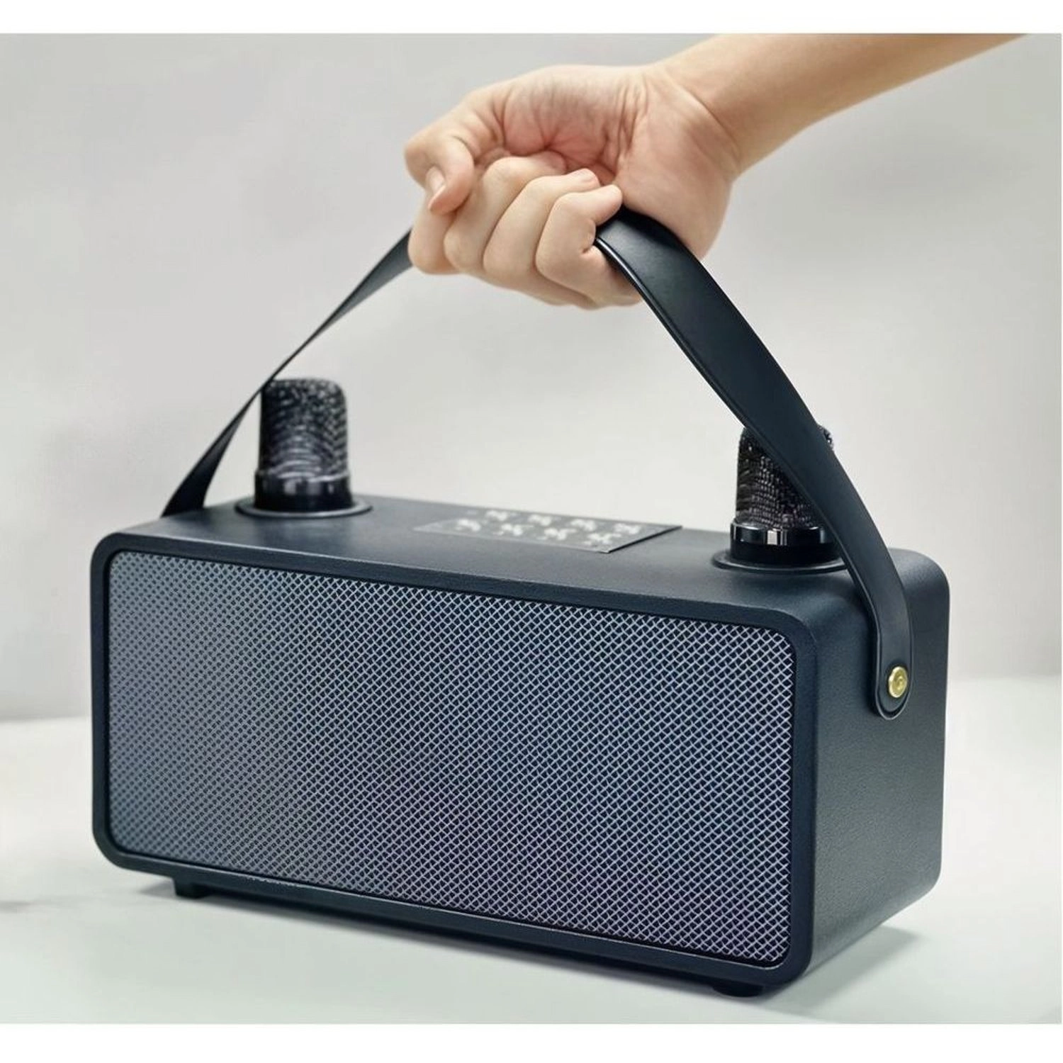 Pulz Mini Karaoke - 2 Microphones