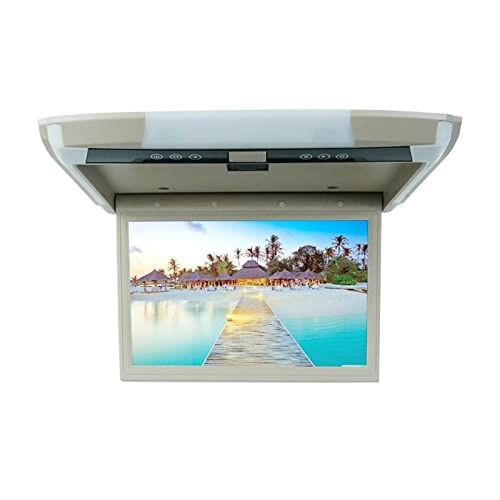 LU-1218MP5 - 12.1 inch