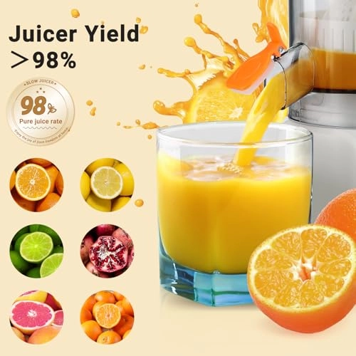 Electric Citrus Juicer - 600 Milliliters