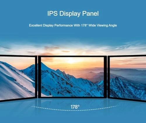 10.1-DSI-TOUCH-A - 10.1 Inches 800×1280 Pixels