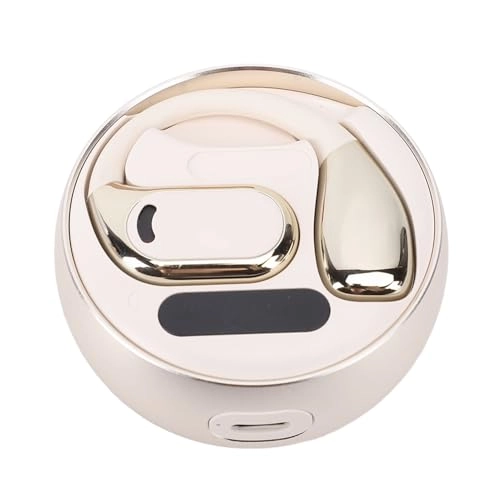 Translation Earphones - 74 Languages