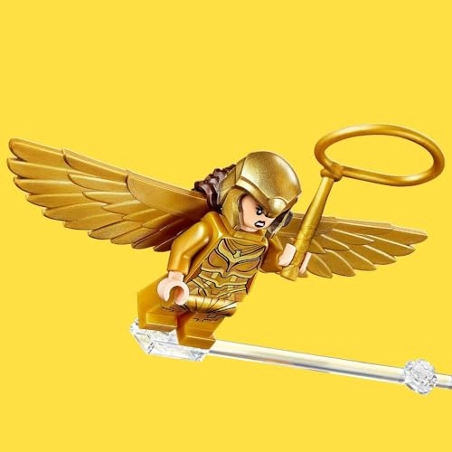 DC Wonder Woman vs The Cheetah