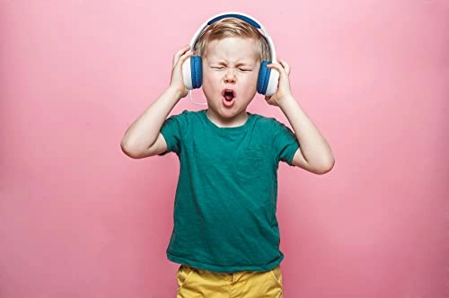 HP-010 Wired Headphone