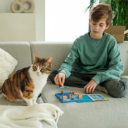 Cats and Boxes Puzzle (5414301525523)