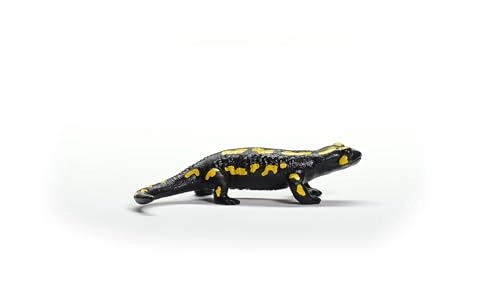 Fire Salamander - 4+