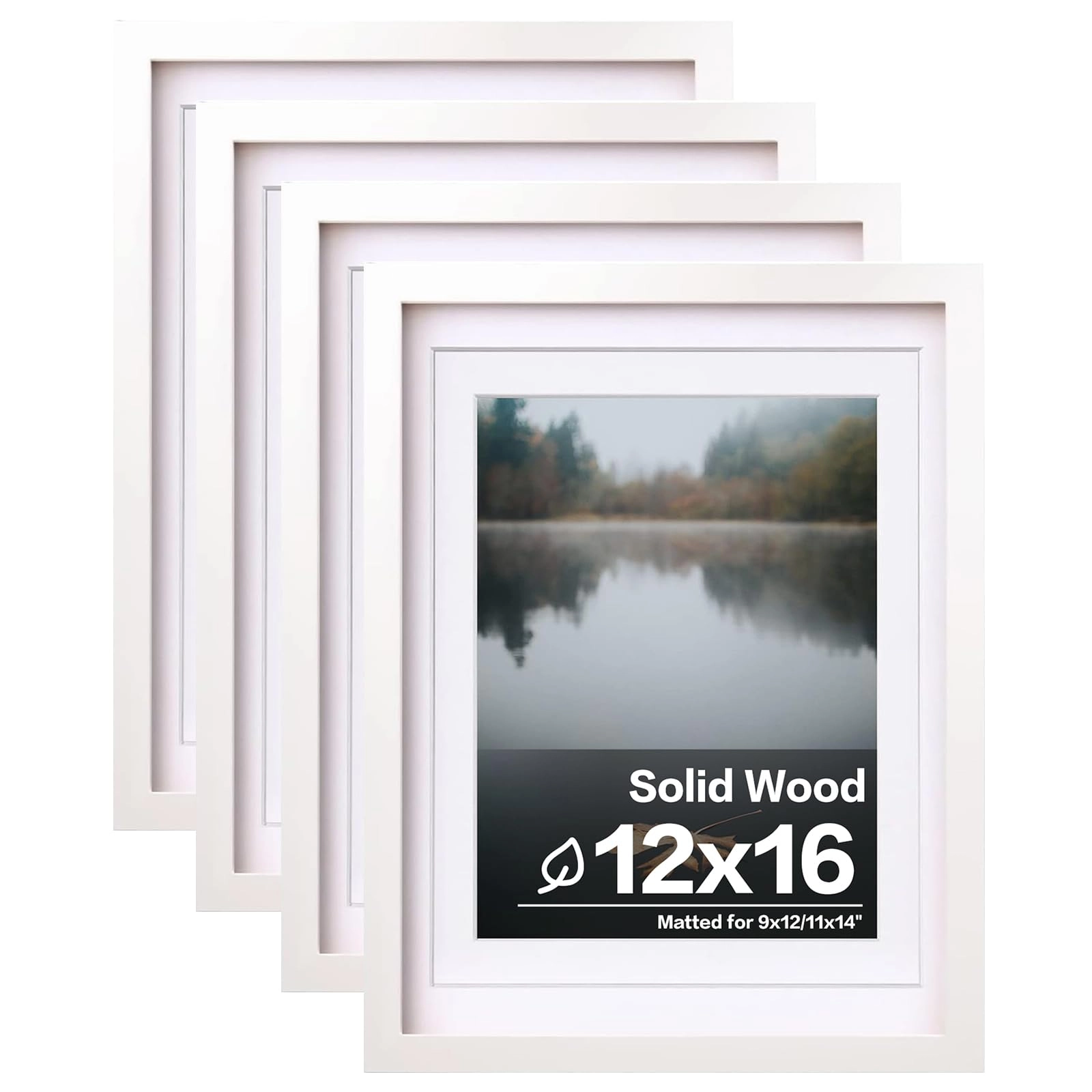 picture frames - 12x16
