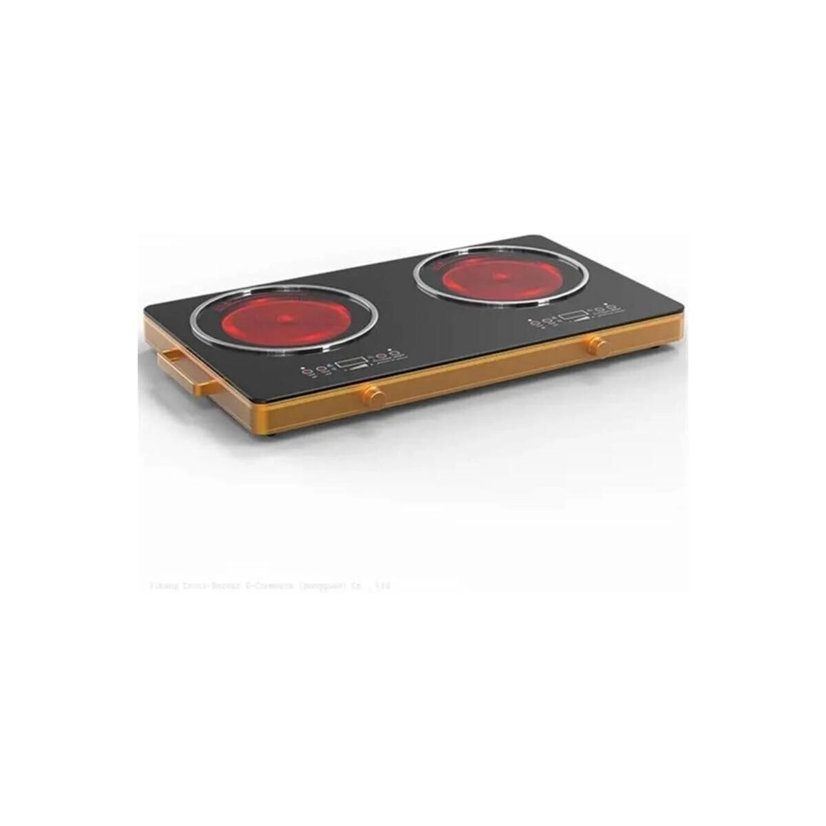 Double Burner INDUCTION Cooker