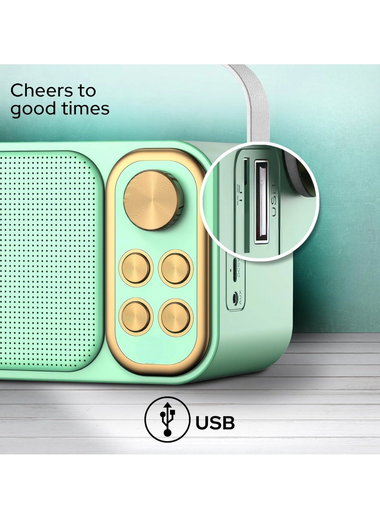 Outdoor Party Vocal Machine - 2 microphones