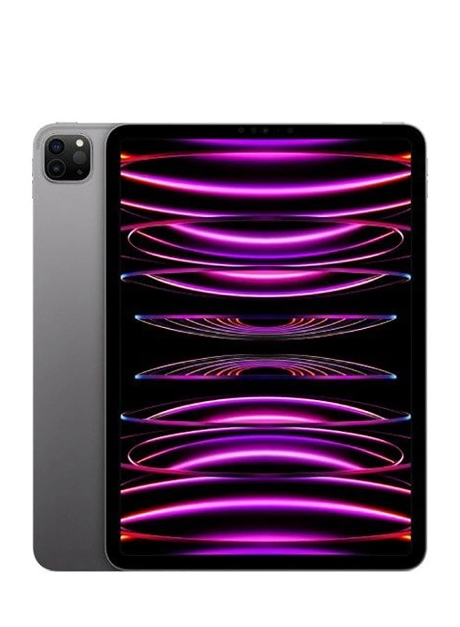 Apple iPad Pro (2022) - 1000GB 11"