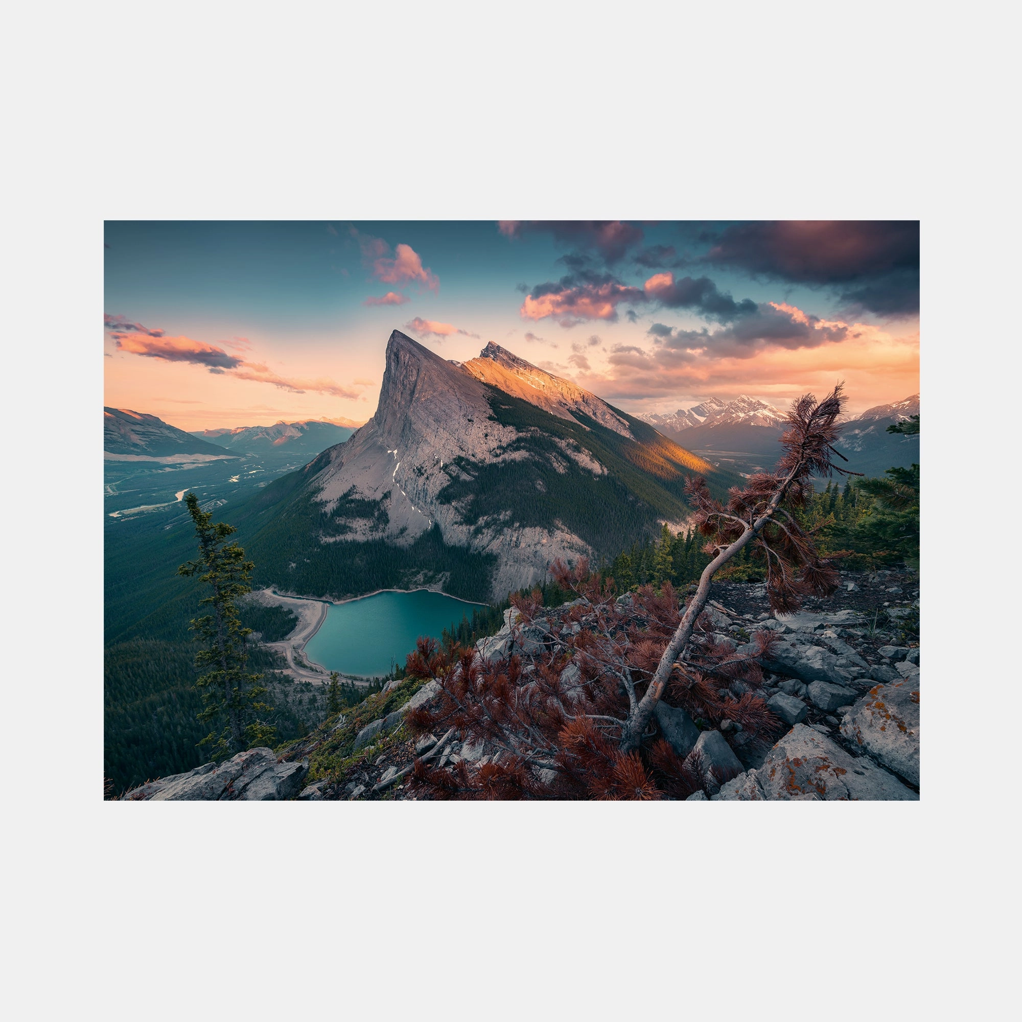 Wild Nature Puzzle (B363783) - 1000 pcs