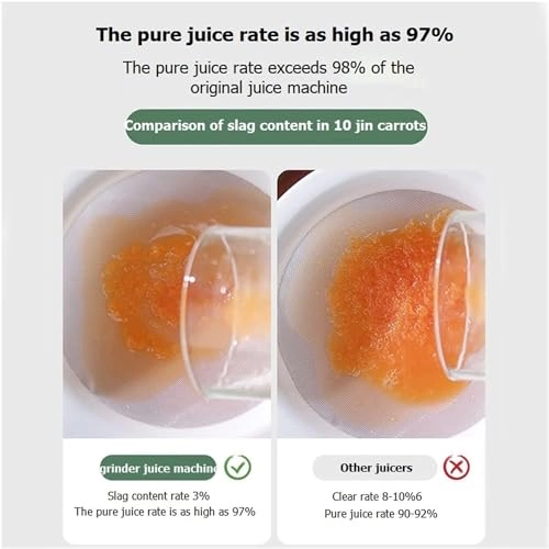 Portable Electric Juicer - Masticating Slow Auger Water-Free