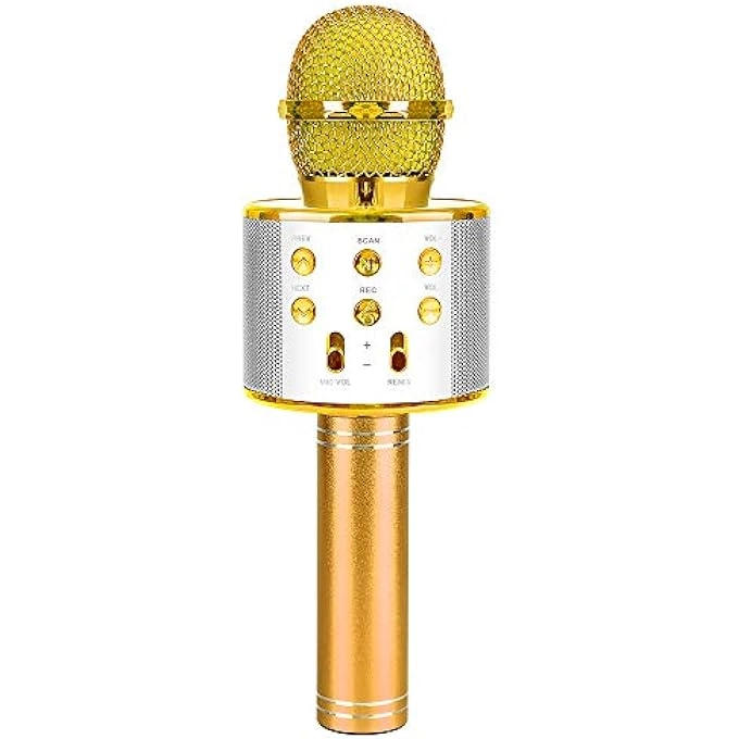 rayihni WIRELESS MICROPHONE - 4-12 years+