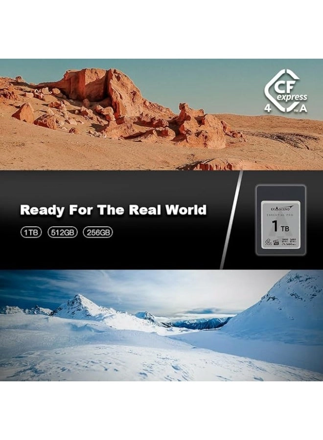 Essential Pro CFexpress 4.0 Type A - 256GB