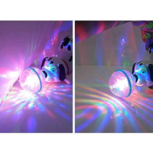 Dancing Dog Puppy - 6 months+