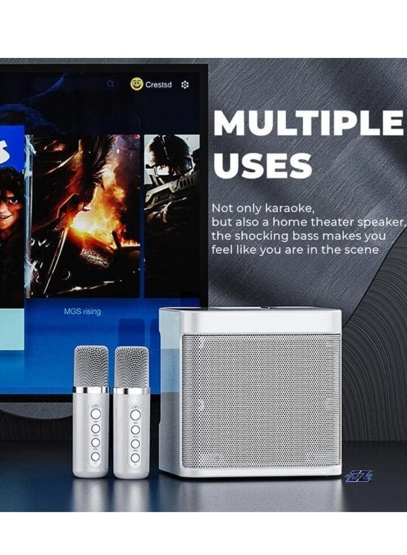 YS-203 - 2 wireless microphones