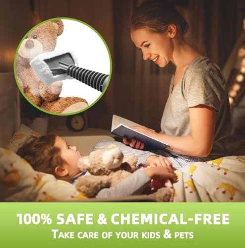 steam cleaner - 3.5E+2 Milliliters